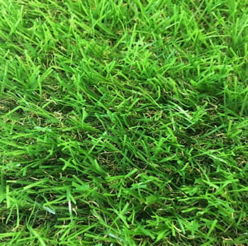 Artificial Grass Sample